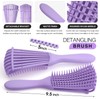 Hommtina Detangling Brush 4 Pack Curly Hair Brush Getting Shine