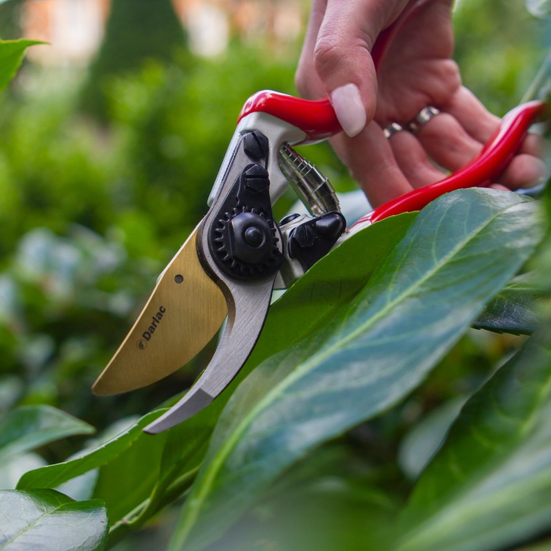 Darlac Expert Titanium Bypass Pruning Scissors – Garden Pruners with