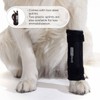 Ortocanis - Carpal Support for Dogs with Arthrosis, Ligament Injuries
