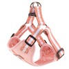 Charlie + Co, Adjustable Step in Dog Harness, Comfortable Breathable