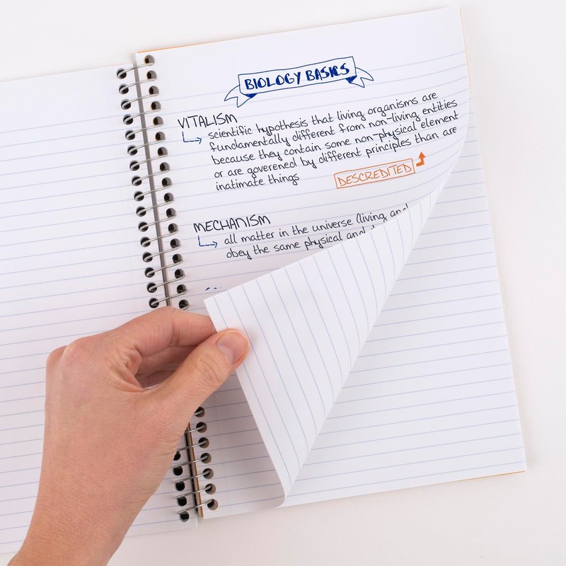 Five Star Spiral Notebook, 2 Subject, College Ruled, 9 1/2"