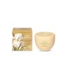 L'Erbolario - Perfumed Body Cream - Iris White - 300