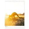 Australien - Eine unvergessliche Reise. (Wandkalender 2026 DIN A4 hoch),