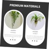RORPOIR 2Pcs Wall-mounted Cone Vase Hydroponic Planter Clear Decorative Hanging