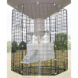 Boss Buck Varmint Cage for Boss Buck Broadcast Type Feeders