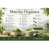 Té Matcha Orgánica Premium 100% Natural Polvo 500g