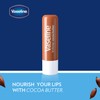 Vaseline Lip Therapy Cocoa Butter Lip Balm, 6 Pack