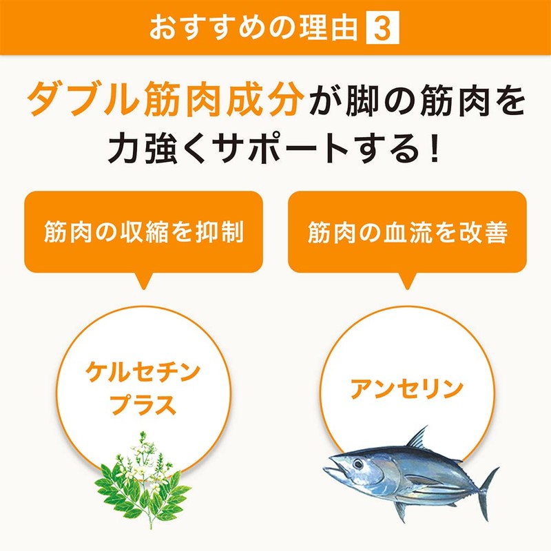 サントリー ロコモア 筋肉成分 軟骨成分 グルコサミン コンドロイチン ケルセチン アンセリン サプリメント サプリ