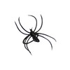 Bag 50 spiders