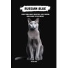  Russian Blue: Everything about selection, care, keeping, employment Opportunities