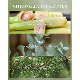 M&SENSE Citronella Eucalyptus Large Soy Scented Candles Outdoor for Women Men 550g 110H Organic Summer Citronella Candles for Outside Patio Camping BBQ Non Toxic Long Lasting Candles for Family Home