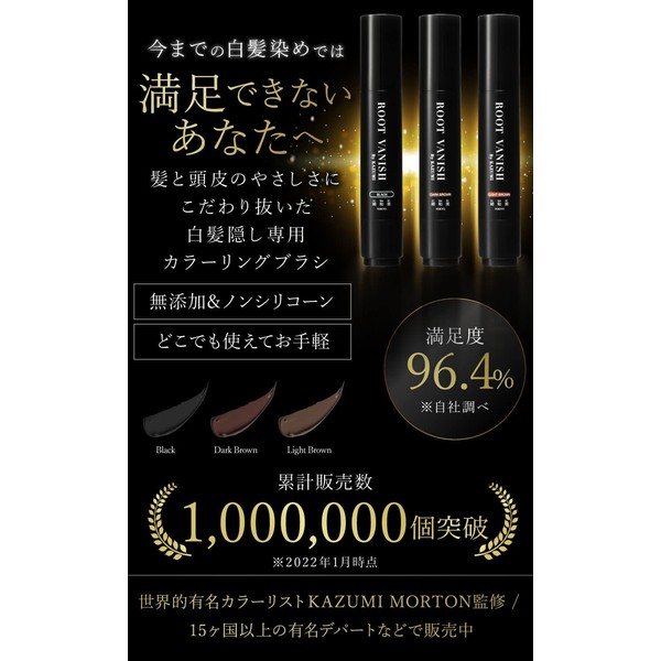 Kazumi KIWABI Hair Hiding Stick Type, Dark Brown, Set of
