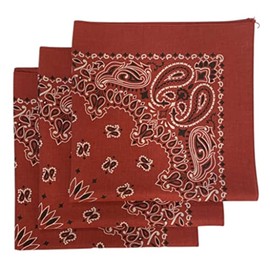 Made in the USA paisley bandanas (terracotta) 3 pack- 100% cotton 22in x 22in
