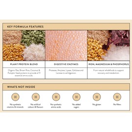 Nutra Naturals Clean Plant Protein Vanilla 500g