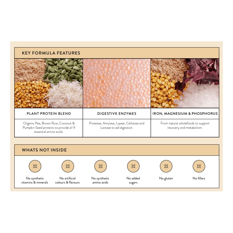 Nutra Naturals Clean Plant Protein Vanilla 500g