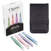 4-Piece Professional Tweezers Set with Case | Stainless Steel |