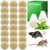24 Pack Rats Repellent Peppermint Oil to Keep Mice Away