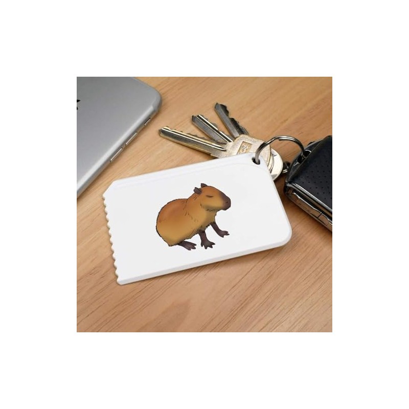 'Sleepy Capybara' Plastic Ice Scraper (IC00036342)