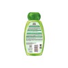 Garnier Whole Blends Kids 2-in1 Shampoo & Conditioner, Paraben Free,