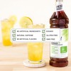 Monin - Energy Boost, Liquid Energy Supplement, Subtle Tea Flavor,