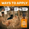Natural Antibiotics for Dogs for Allergies, Infections, Coughs, Digestive Moments