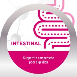 Forza10 Active Intestinal Dry Dog Food - 8.8 Pounds, Hydrolyzed Dog Food with Probiotics, Gastrointestinal Limited Ingredient Formula for Digestive Support and Sensitive Stomach, Fish Flavor