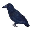 Bristol Novelty BA702 Feather Raven, Unisex-Adult, Black, One Size