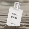 Acqua For CEO by Secret Plus Spray Cologne for Men