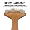 The Bulldog Back Scratcher, The Original Brush Skin Stimulator for