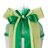 ROTH School Cone Bow Fresh Green - Ready Tied Approx.