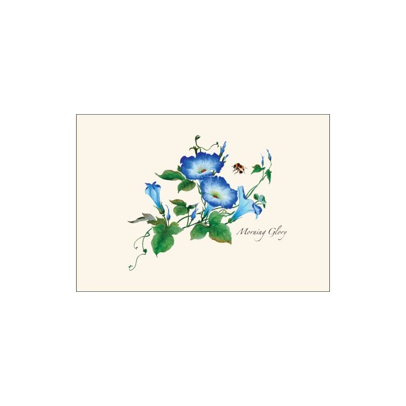 Earth Sky + Water - Morning Glories Notecard Set -