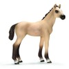 Schleich Akhal Teke Foal Figure