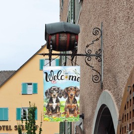 Cute Dachshund Dog Puppy Lovers Spring Flowers Florals Garden Flag Welcome Party Outdoor Outside Decorations Picks Home House Garden Yard Decor 12x18 Inch