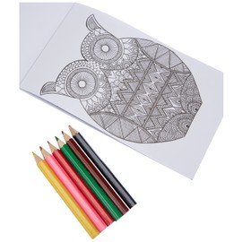 Schmidt Spiele 51403 Schmidt Schmidt Spiele 51403-Creative Kit, Farben und Bildern, Bunt