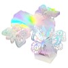 HAIKING Butterfly Laser Cut Favor Boxes, 20 PCS Silver Iridescent