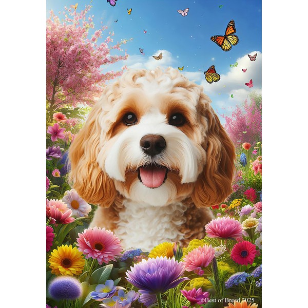 Cavapoo Blonde - Best of Breed Spring Butterfly Outdoor Garden