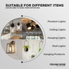 LEDSone 100mm Black Ceiling Rose Pendant Lamp with Cable Handle