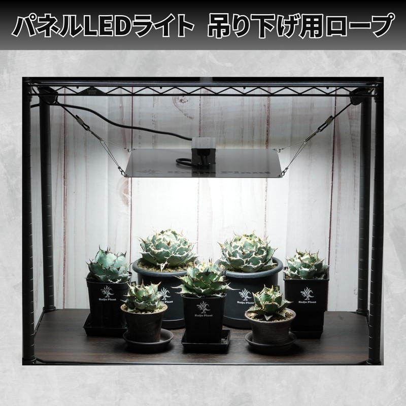 Kaiju Plant Panel LED Light Hanging Rope Set of 2