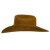 Stetson Men's Powder River 4X Buffalo Felt Cowboy Hat Mink