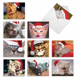 The Best Card Company - 10 Cat Season's Greetings Cards - Christmas Animal Notecards, Assorted Holiday Set (4 x 5.12 Inch) - Christmas Smitten Kittens M6485XSG