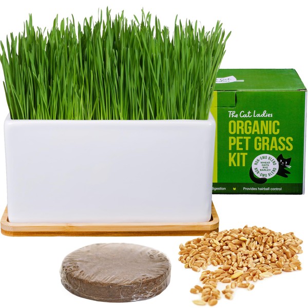 The Cat Ladies Organic Cat Grass Growing kit with Organic Seed Mix, Soil and Ceramic Planter with Bamboo Tray. Natural Hairball Control and Remedy for Cats