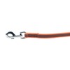 Color & Gray Super-Grip Leash with Handle, 20 mm x