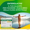 Enterolactis Duo 20 bustine solubili: probiotico che aiuta a favorire