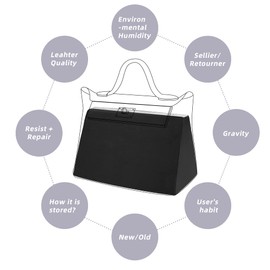 DGAZ Bag Pillow Shaper Insert for Luxury Handbags, Silky Pillow Shaper for Hermes 24/24-mini Bag (29, Black)