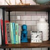 Parrency Diversion Book Safe with Combination Lock, Secrect Hidden Safe