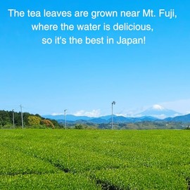 Matcha Japonés Puro de Alta Calidad (50 Gramos) - Té Verde Matcha En Polvo Con Menor Amargor, de Shizuoka, Japón. Marca Kanematsu Seicha Daichaen...  