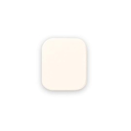 Paula Diem Couleur Color Blend Foundation Puff