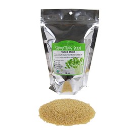 Organic Hulled (Husk Removed) Millet Seeds: 1 Lb - Non-GMO Cereal Grain - Make Millet Beer, Grind Millet Flour, Cereal, Bird Seed, Emergency Food Storage