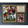 Ed Reed - Miami Hurricanes 11" x 14" Framed Photo
