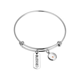 Christian Gift Mustard Seed Faith Blessed Inspirational Neckalce Bracelet (Blessed Bracelet)